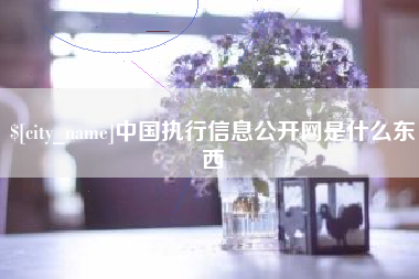 海拉尔中国执行信息公开网是什么东西