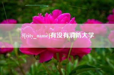海拉尔有没有消防大学