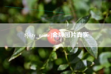 海拉尔金牌图片真实