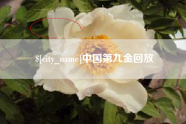 海拉尔中国第九金回放