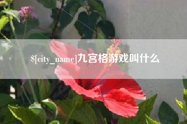 海拉尔九宫格游戏叫什么