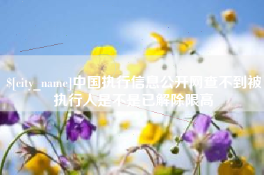 海拉尔中国执行信息公开网查不到被执行人是不是已解除限高