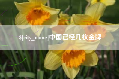海拉尔中国已经几枚金牌
