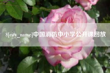 海拉尔中国消防中小学公开课回放