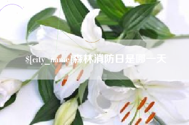 海拉尔森林消防日是哪一天