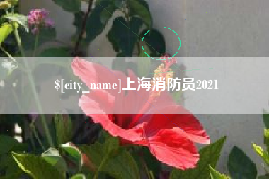 海拉尔上海消防员2021