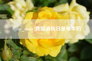 海拉尔我国消防日是每年的