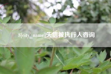海拉尔失信被执行人杳询