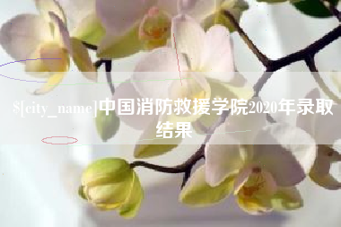 海拉尔中国消防救援学院2020年录取结果
