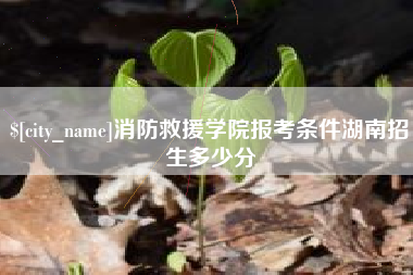 海拉尔消防救援学院报考条件湖南招生多少分