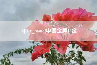 海拉尔中国金牌18金