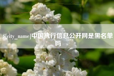 海拉尔中国执行信息公开网是黑名单吗