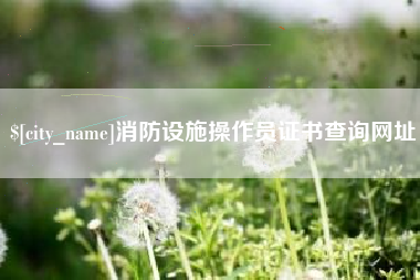 海拉尔消防设施操作员证书查询网址