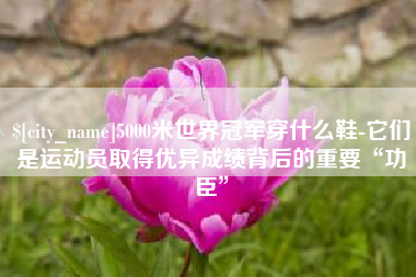 海拉尔5000米世界冠军穿什么鞋-它们是运动员取得优异成绩背后的重要“功臣”
