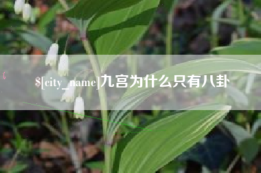 海拉尔九宫为什么只有八卦