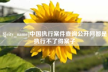 海拉尔中国执行案件查询公开网都是执行不了得案子