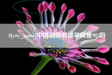 海拉尔中国消防救援学院是985吗