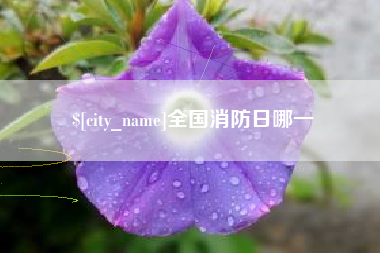 海拉尔全国消防日哪一