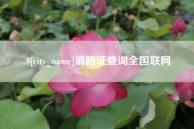 海拉尔消防证查询全国联网