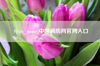 海拉尔中国消防网官网入口