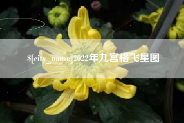 海拉尔2022年九宫格飞星图