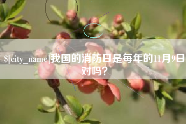 海拉尔我国的消防日是每年的11月9日对吗？