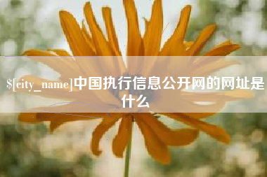 海拉尔中国执行信息公开网的网址是什么