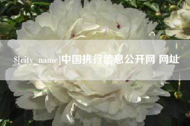 海拉尔中国执行信息公开网 网址