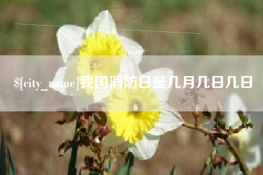 海拉尔我国消防日是几月几日几日