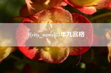 海拉尔21年九宫格