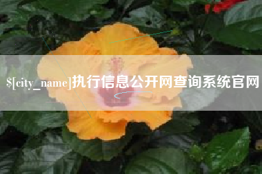 海拉尔执行信息公开网查询系统官网
