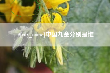 海拉尔中国九金分别是谁