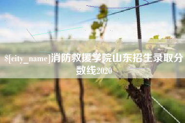 海拉尔消防救援学院山东招生录取分数线2020