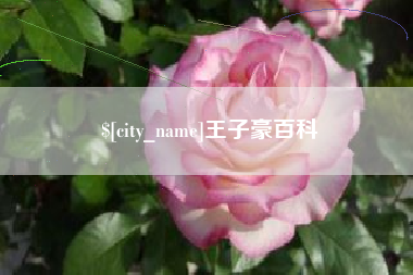 海拉尔王子豪百科