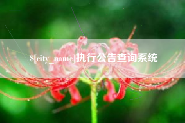 海拉尔执行公告查询系统