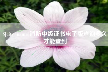海拉尔消防中级证书电子版查询多久才能查到