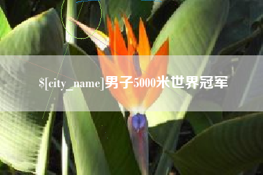 海拉尔男子5000米世界冠军