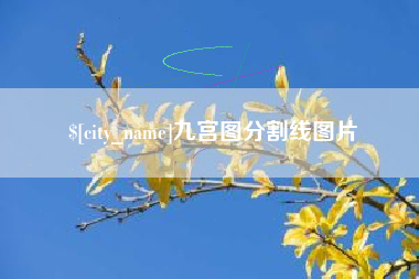海拉尔九宫图分割线图片