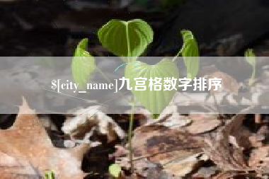 海拉尔九宫格数字排序