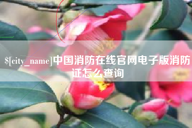 海拉尔中国消防在线官网电子版消防证怎么查询