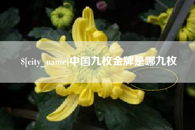 海拉尔中国九枚金牌是哪九枚