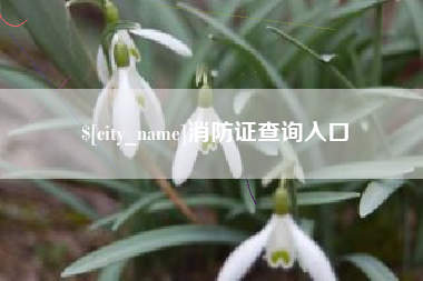 海拉尔消防证查询入口