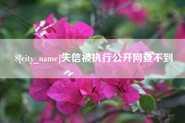 海拉尔失信被执行公开网查不到