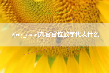 海拉尔九宫宫位数字代表什么