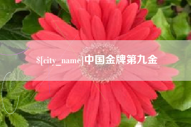 海拉尔中国金牌第九金