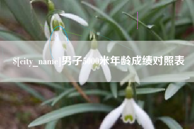 海拉尔男子5000米年龄成绩对照表