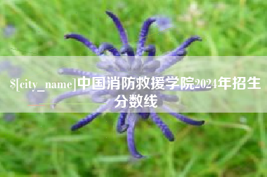 海拉尔中国消防救援学院2024年招生分数线