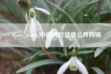 海拉尔中国执行信息公开网询