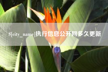 海拉尔执行信息公开网多久更新