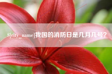 海拉尔我国的消防日是几月几号？